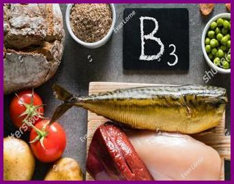 비타민 B3 급원식품 이미지
