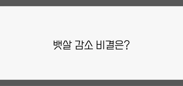 여성의 뱃살을 효과적으로 빼는 방법: 지속 가능한 운동 루틴으로 건강을 지키세요!