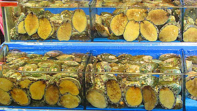 신선한 전복