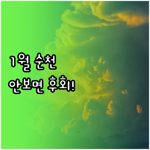 순천 1월 가볼만한곳 추천 순천만습지..