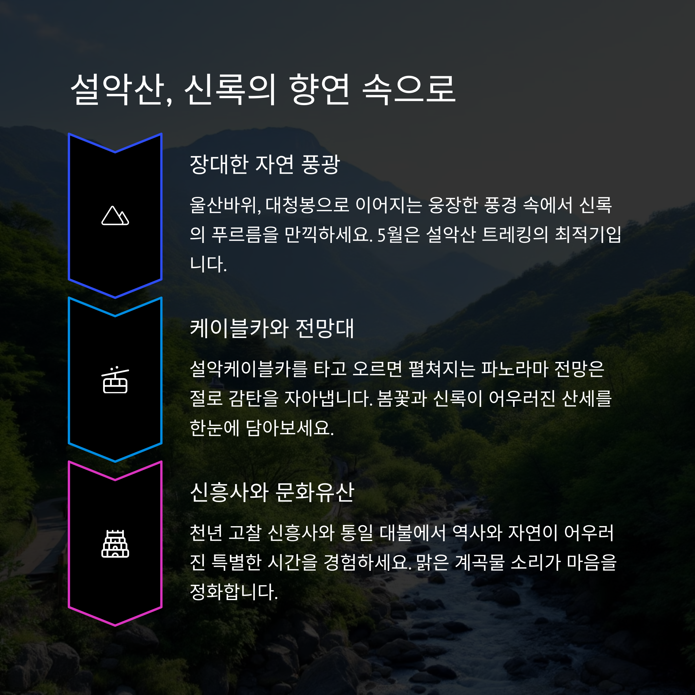 봄의 끝자락, 5월에 떠나는 국내 명소 여행