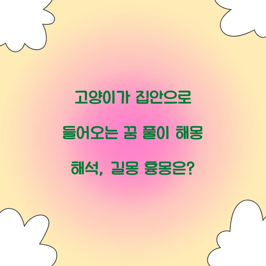 고양이가 집안으로 들어오는 꿈 풀이 해몽 해석
