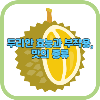 두리안 효능과 부작용&#44; 맛의 종류