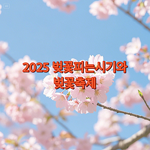 2025년 한국의 벚꽃 개화 시기와 벚꽃 축제