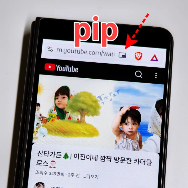 brave-pip-아이콘