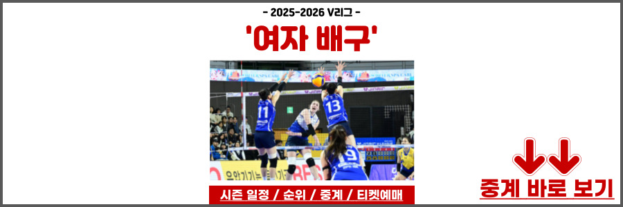 여자배구 순위