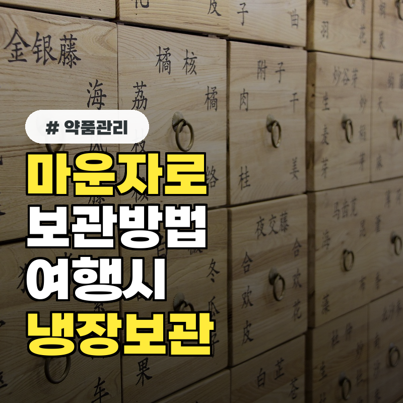 마운자로 보관 방법, 여행 갈 때 냉장 보관 어떻게 할까