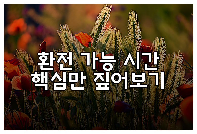 환전 가능 시간 핵심만 짚어보기