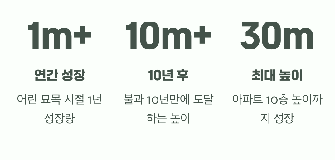 상상을 초월하는 성장 속도