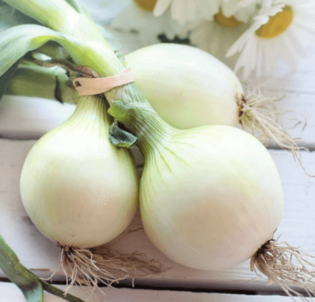 몸속-염증에-좋은-음식