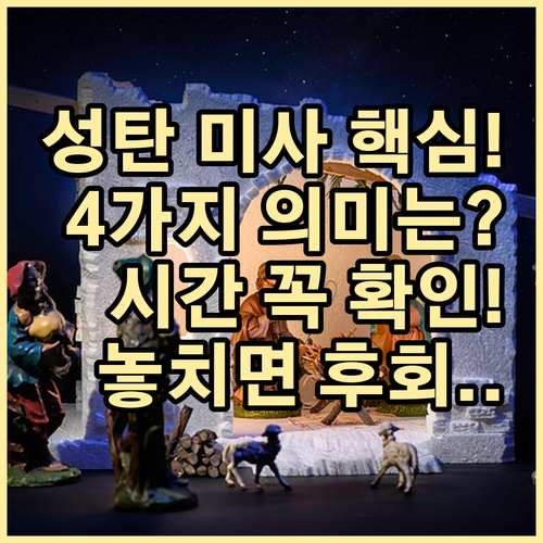 천주교 성탄 대축일 4가지 미사 시간..