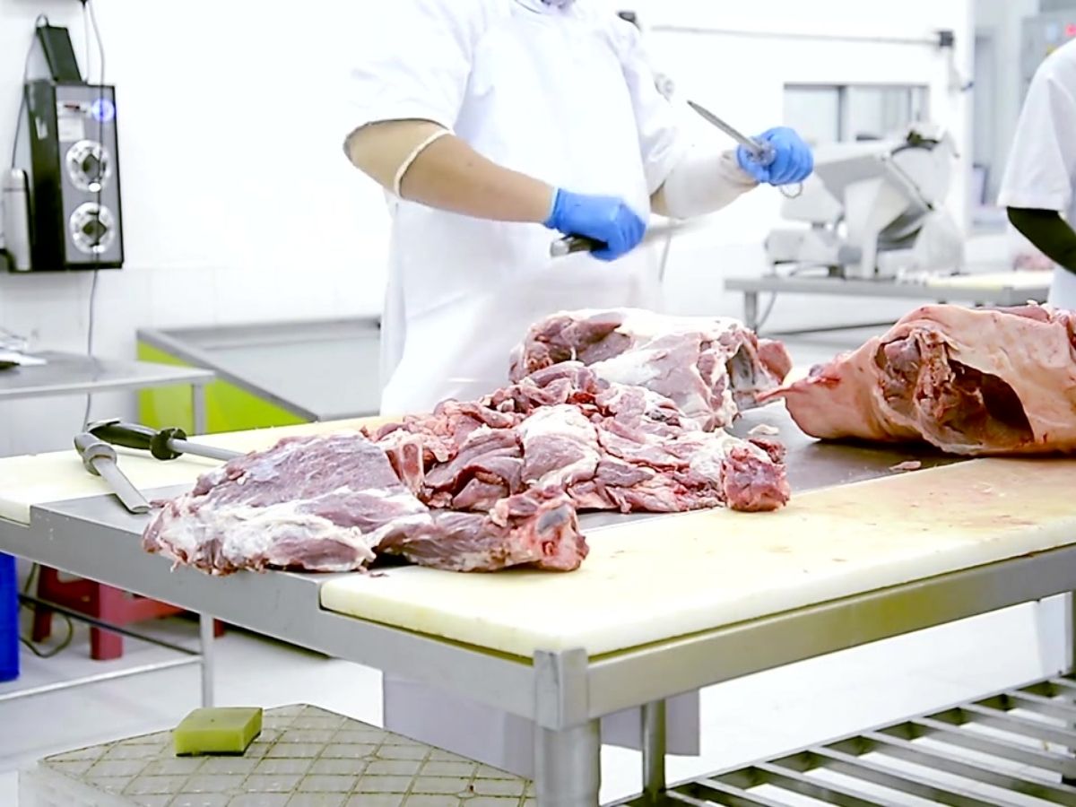 도축 제조사 위생