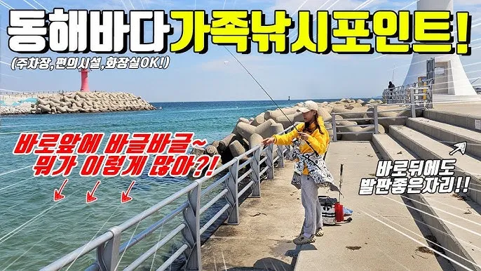 낚시 명당 전라남도 바다 방파제 선상 갈치낚시 정보_1