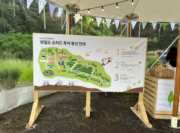 2025 와일드 오차드 티 페스티벌, 제주 자연 속에서 차 한 잔의 여유!