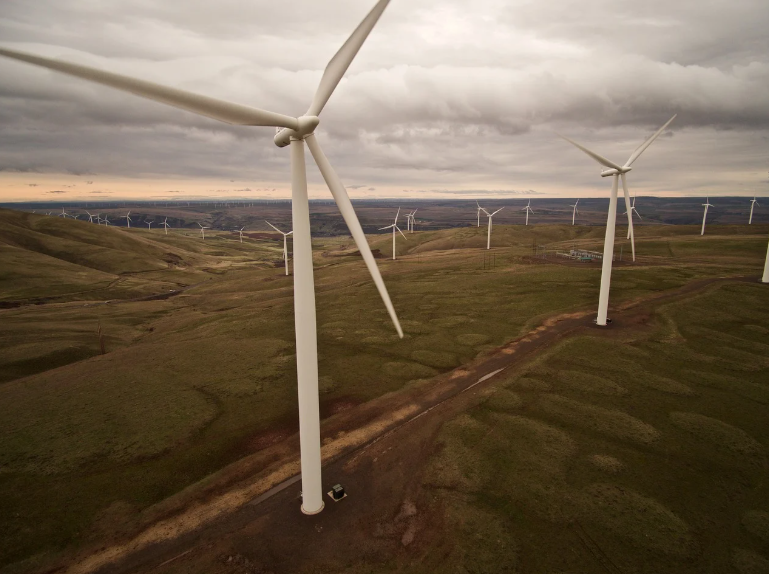 에너지 활용 차이 사진