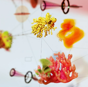 대상 포진 관련 사진