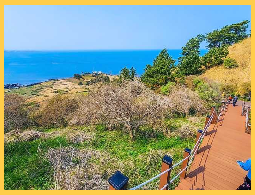 비양도_배시간표_인증샷명소