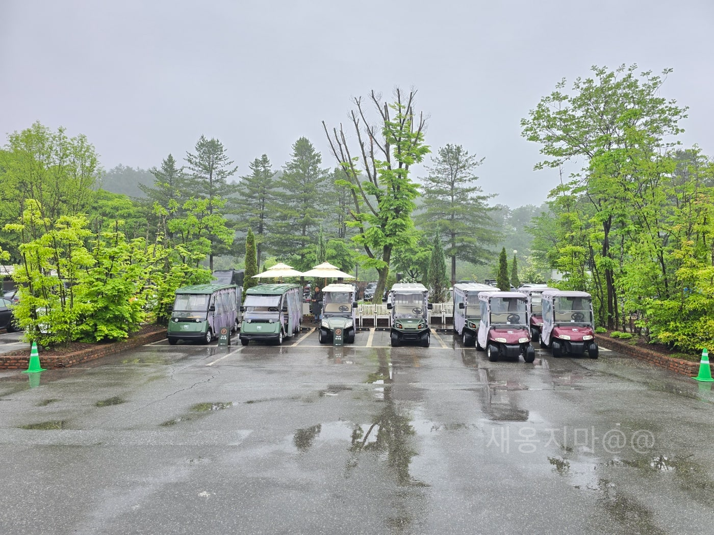 가평-힐링파크-카트