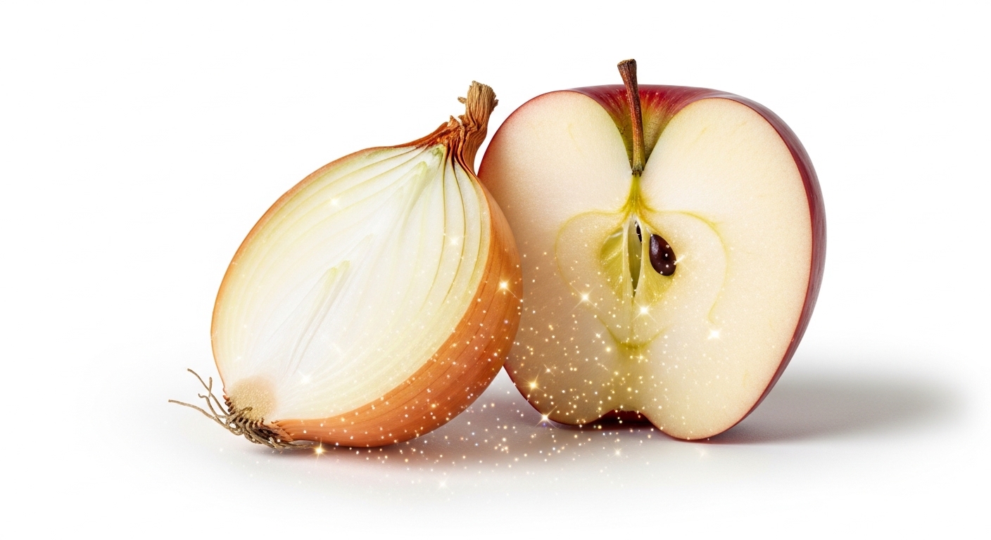 비염에좋은가습기