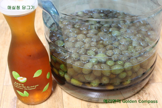 직접-담아둔-매실청-모습