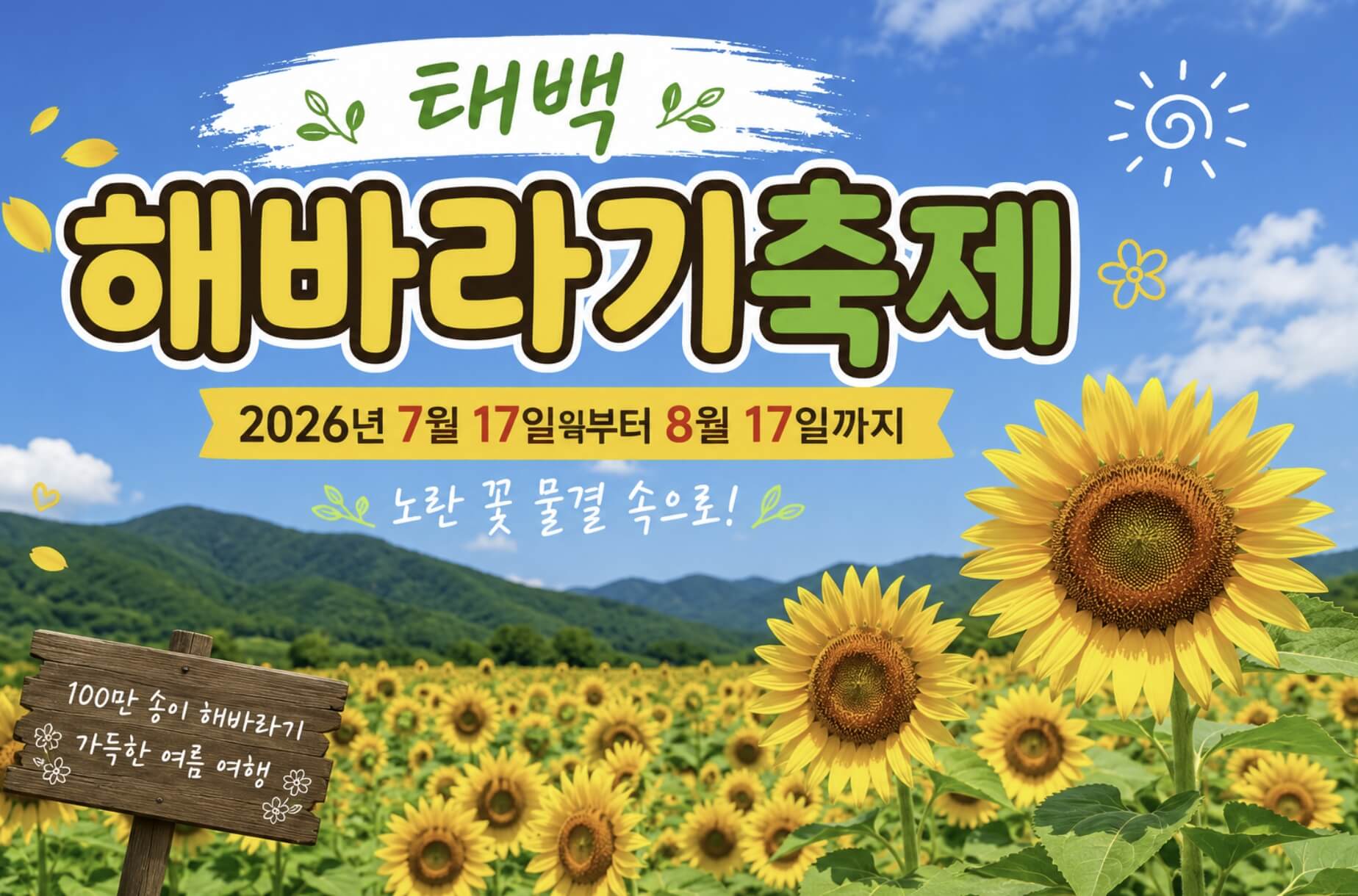 태백 해바라기축제
