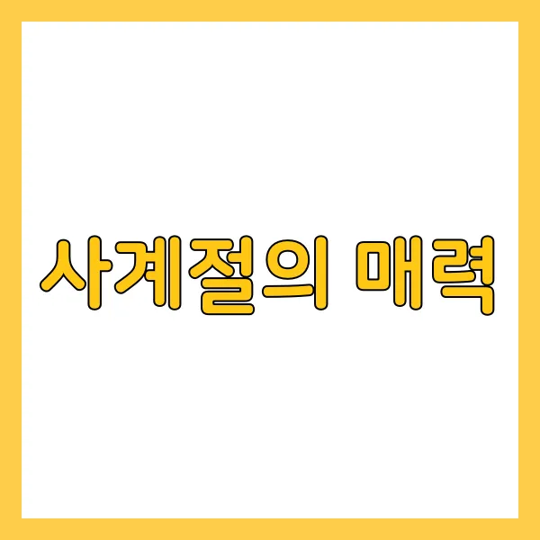 사계절의 매력