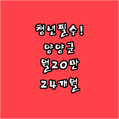 2026 양양군 청년월세지원 월 20..