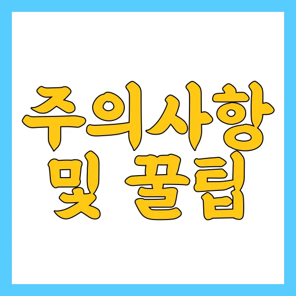 주의사항 및 꿀팁