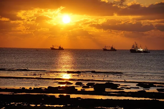제주 서귀포 맛집 추천 현지인 추천 식당 리스트_3
