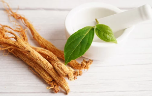 산양삼/출처:어도비스톡