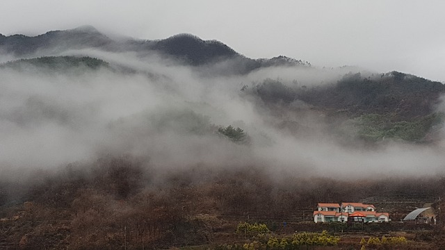 국립공원 예약