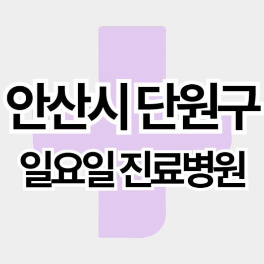 안산시단원구_일요일진료병원_썸네일