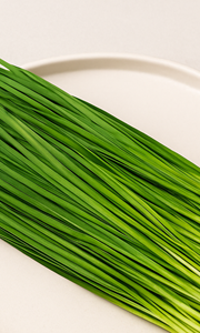 부추전 맛있게 만드는 법