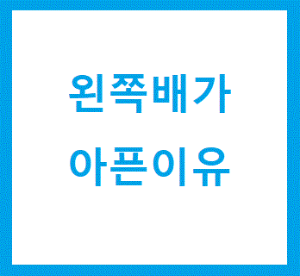 왼쪽 배가 아픈 이유를 설명한 사진