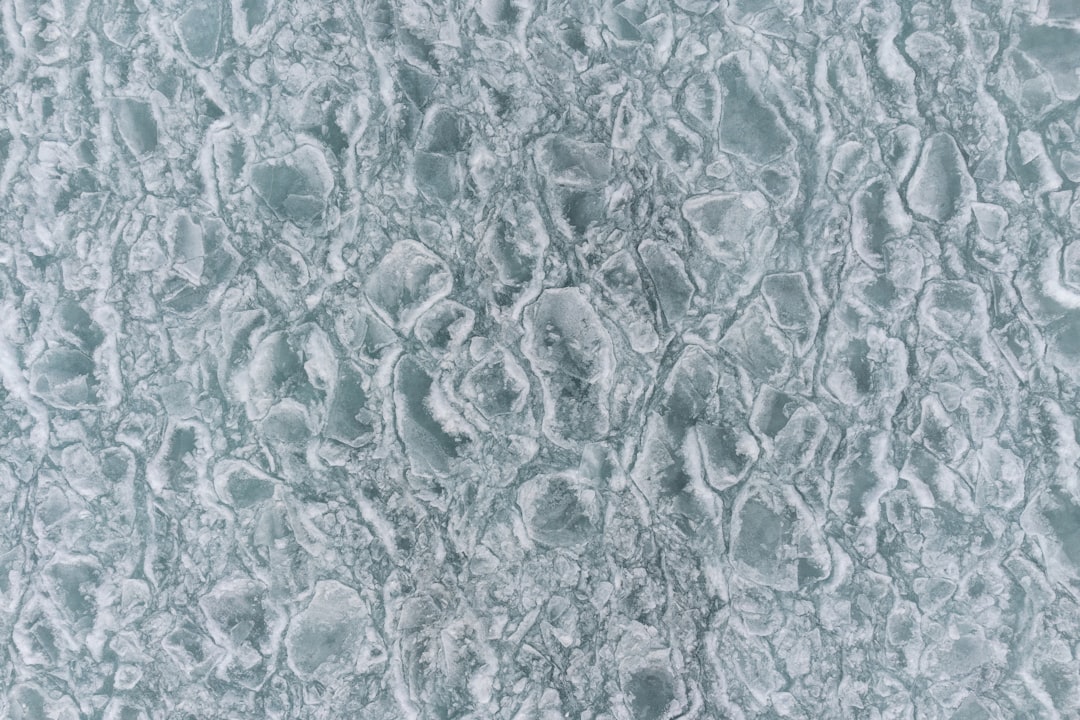 Stem Cell