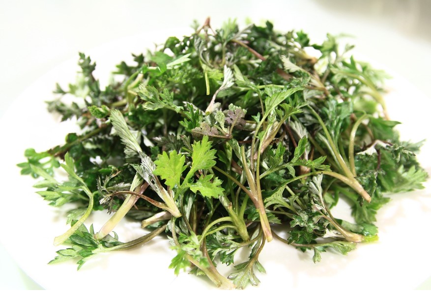 봄철 건강 식단 추천