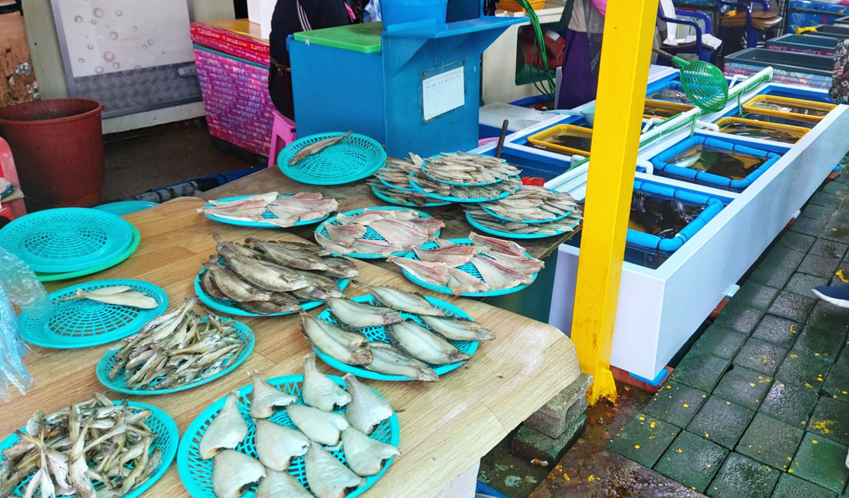 경북 영덕군 강구항 어시장 생선