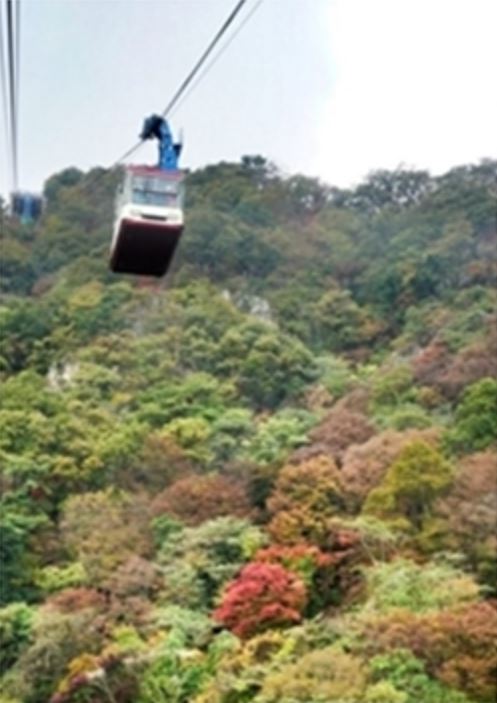 내장산 케이블카 요금 및 예약방법