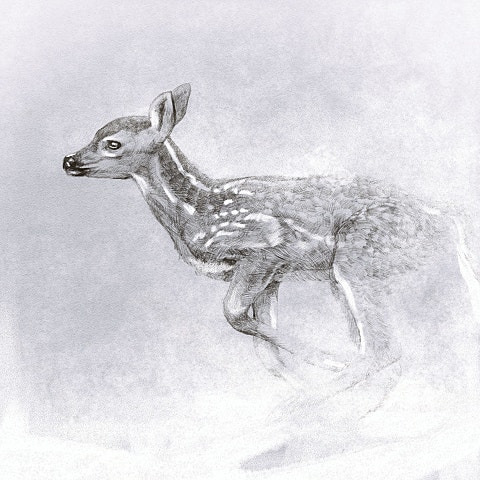 마크툽 첫눈동화 앨범 사진