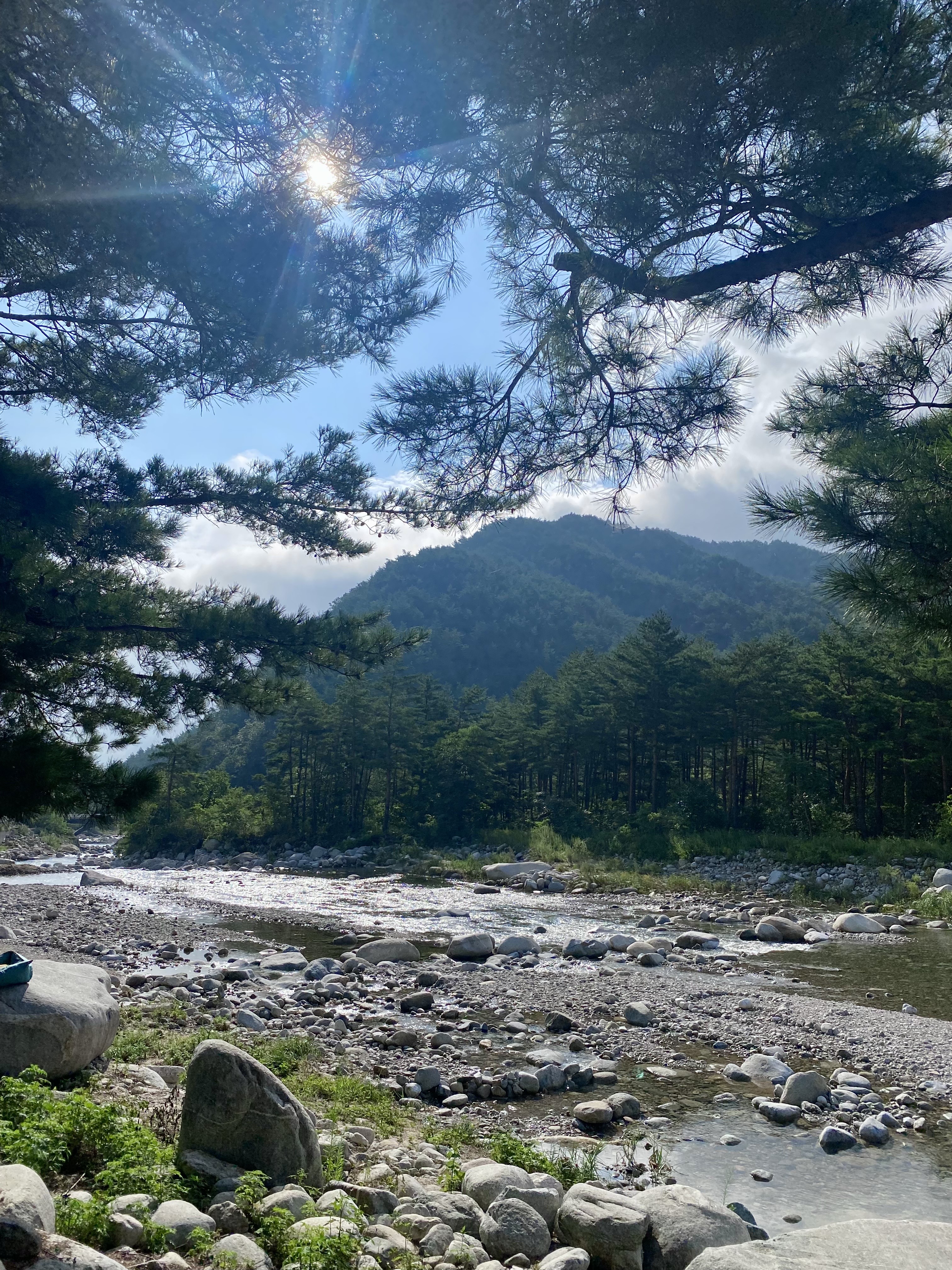 장천마을-캠핑장-계곡