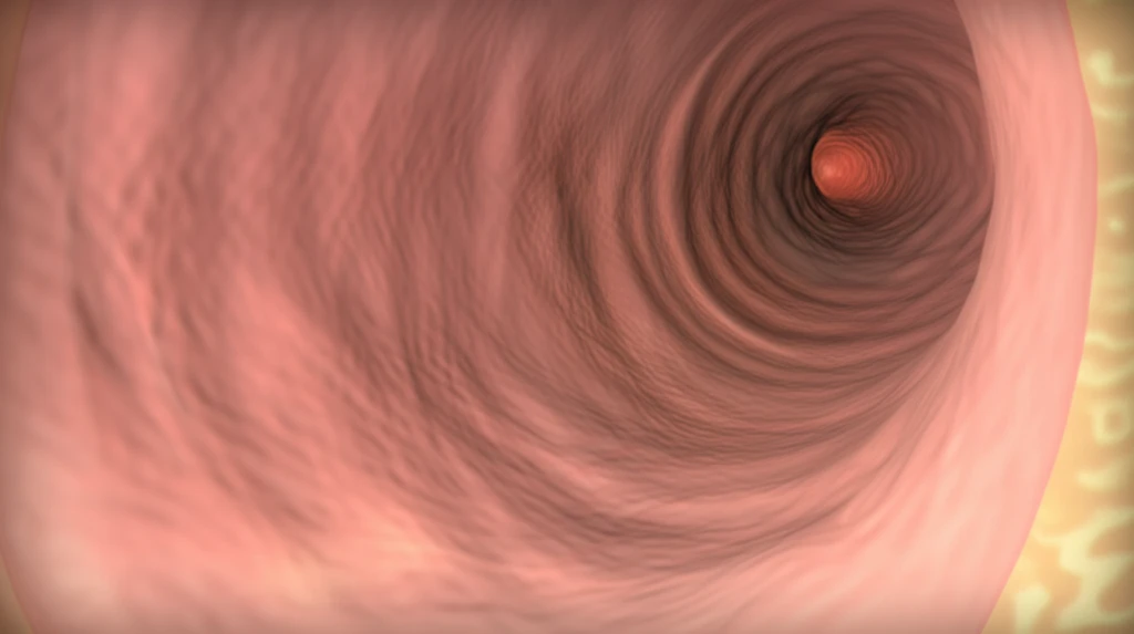 고막 천공까지? 이도염 합병증과 치료