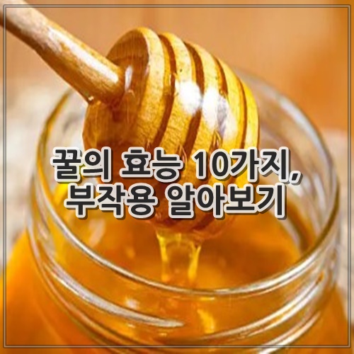 꿀의 효능 10가지, 부작용 알아보기