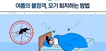 모기 퇴치 모기장 설치와 전자 모기향 환기 수칙_3