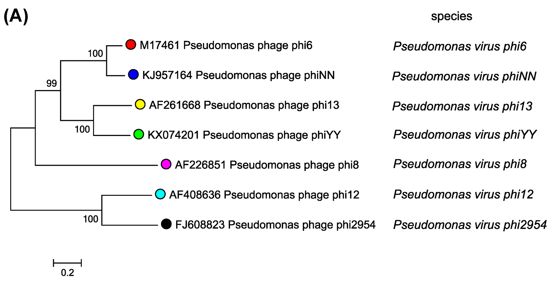 시스토바이러스 종류