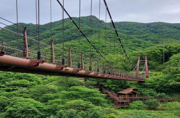 금산 삼계탕 축제 가는 길_1