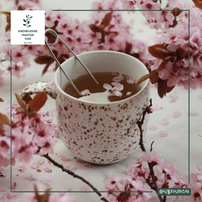 준비와 마시는 법