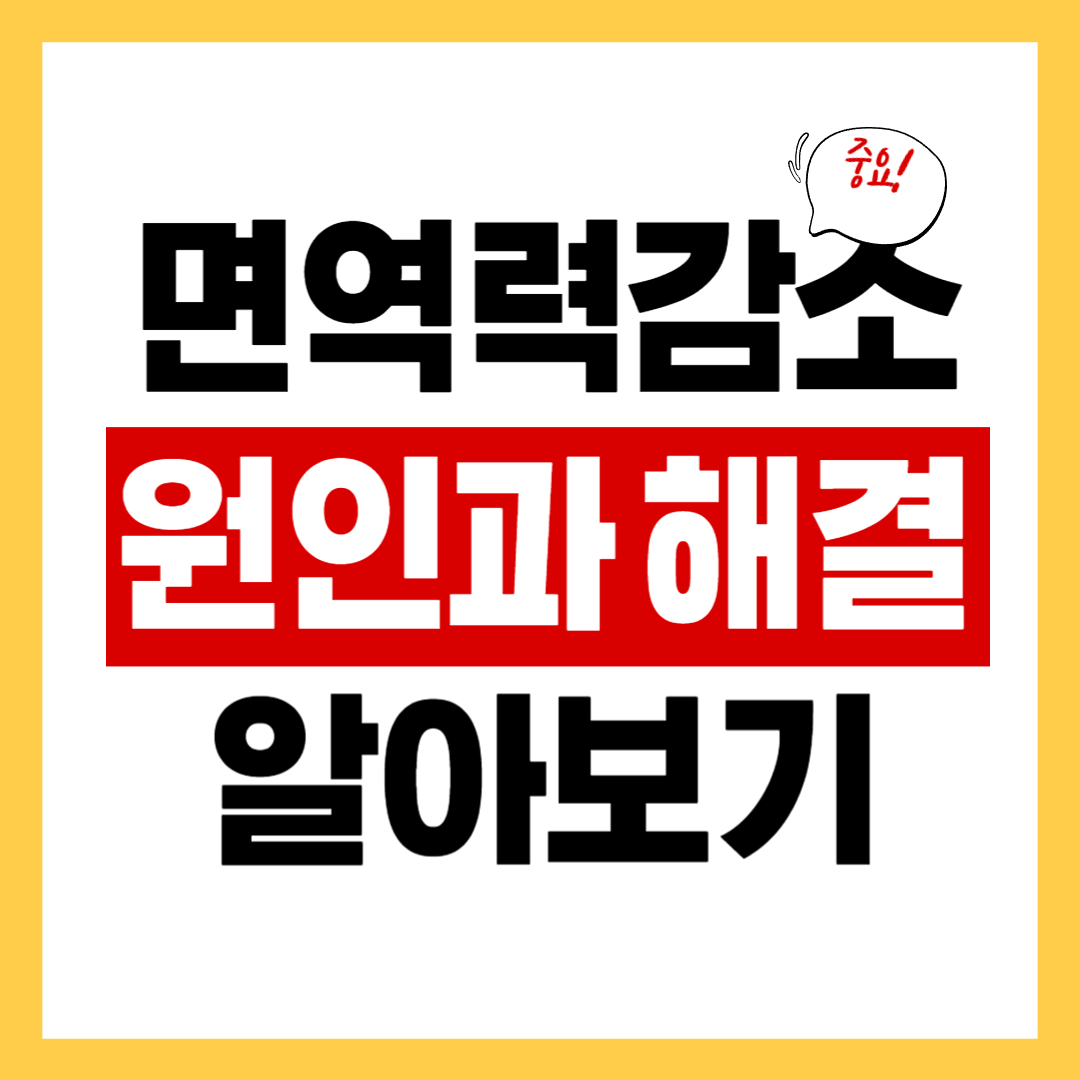 면역력이 떨어 졌을 때 증상과 면역력을 높이는 방법