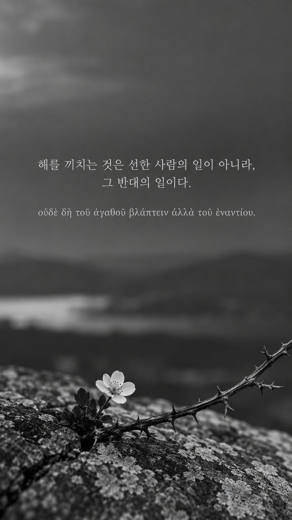 플라톤 명언 7 해를 끼치는 것은 선한 사람의 일이 아니라, 그 반대의 일이다. 가시 옆에 놓인 작은 흰 꽃 배경의 한글·그리스어 세로 이미지
