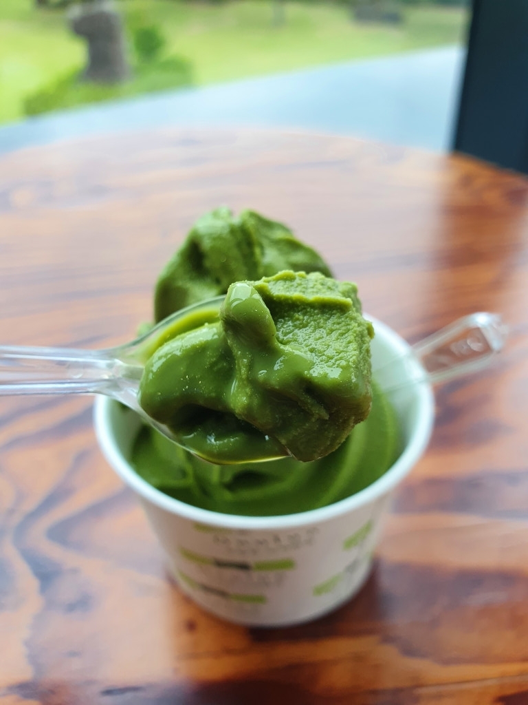 제주 오늘은 녹차한잔 아이스크림