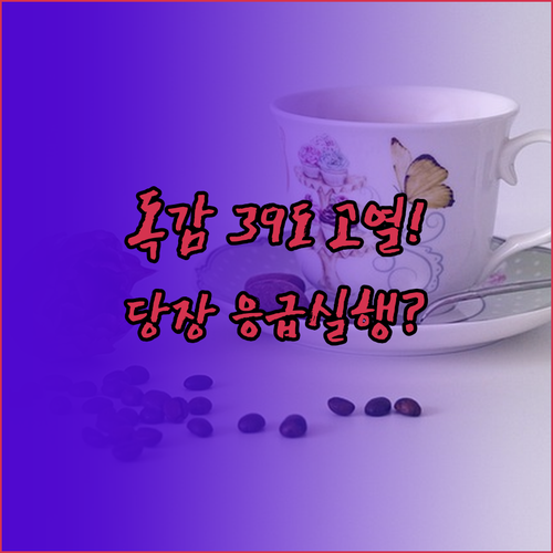 독감 증상 39도 고열 시 병원 응급..